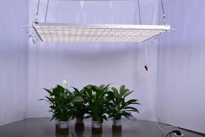 深圳植物生长灯厂家供应300W八爪鱼植物补光灯 美国工业植物种植补光灯 