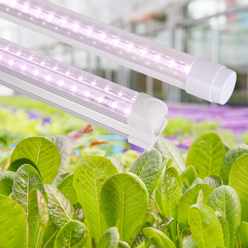 深圳led植物生长灯 全光谱led植物生长灯价格 植物生长灯多少钱
