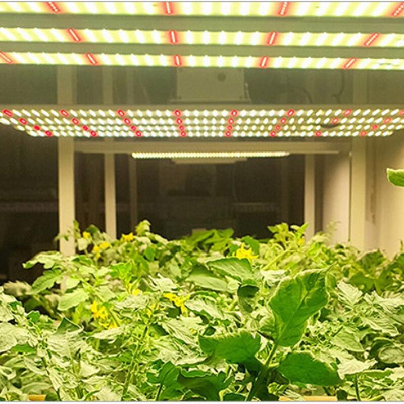 植物照明公司供应植物工厂种植灯 1000W八爪鱼植物灯  调光八爪鱼植物生长灯