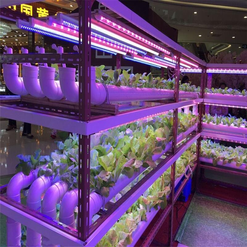 曲靖植物生长灯厂家批发LED植物生长灯 1.2米植物生长灯管
