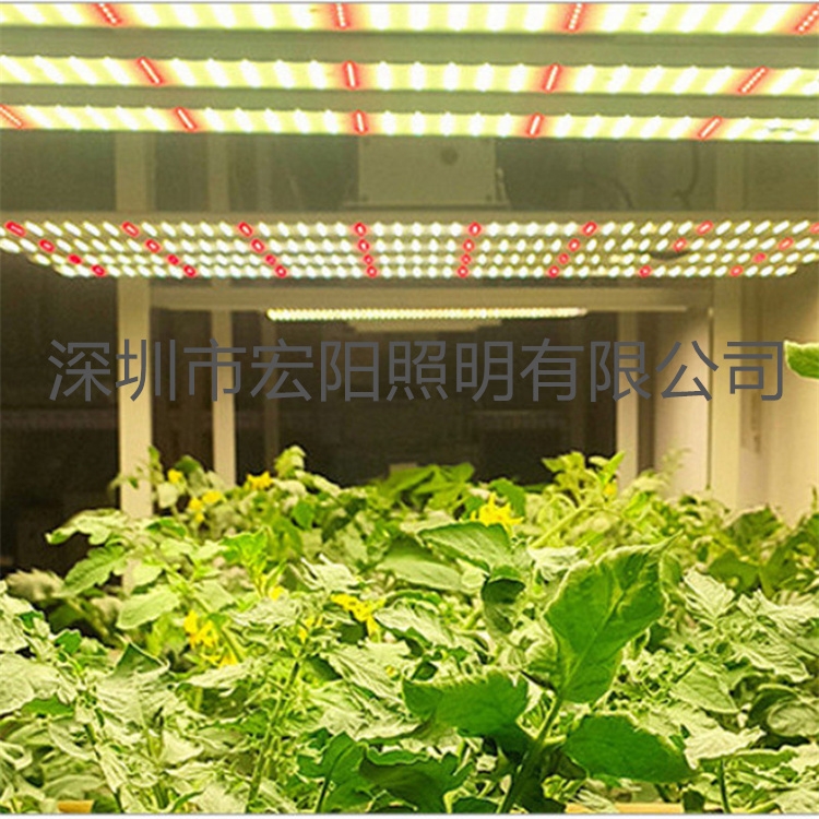 led植物生长灯厂家 600W八爪鱼植物灯 西红柿植物补光灯