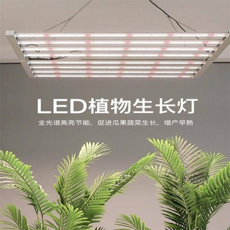 阳江植物照明公司	阳江LED植物照明灯	阳江八爪鱼植物灯